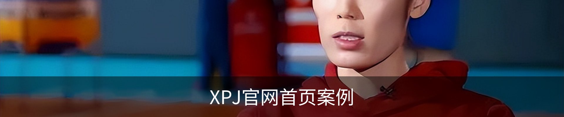 XPJ官网首页案例